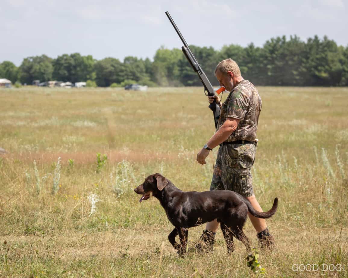 Training Otter Tail Kennels