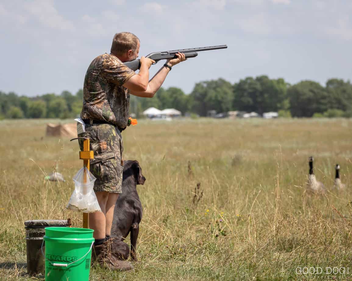 Training Otter Tail Kennels
