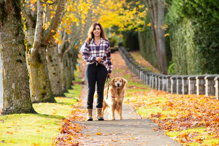 How do you start training with an ecollar? Otter Tail Kennels